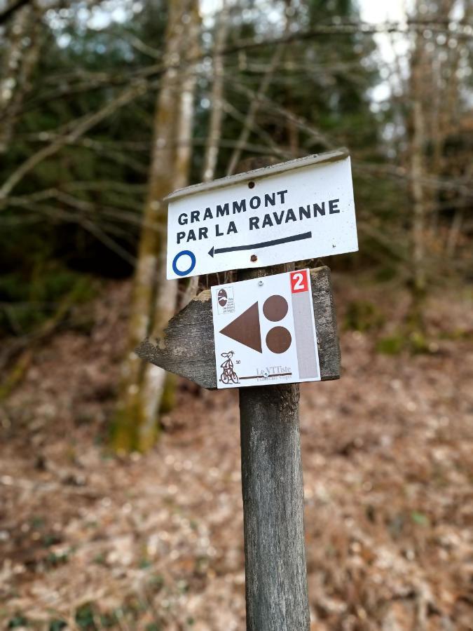 Gite De La Ravanne Ramonchamp Extérieur photo
